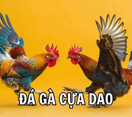 Đá Gà Cựa Dao –Siêu Phẩm Giải Trí Cực Hấp Dẫn 2025